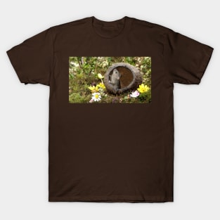 Little mouse in a coconut shell T-Shirt